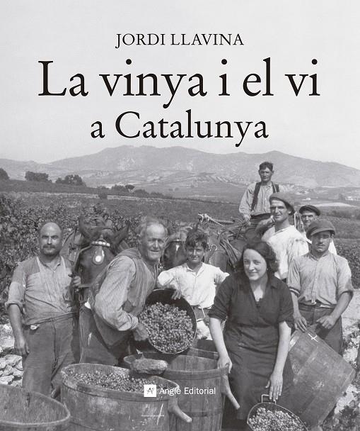 La vinya i el vi a Catalunya | 9788416139187 | Llavina Murgadas, Jordi