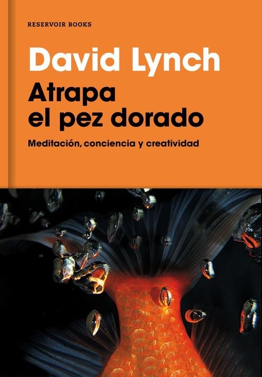 Atrapa el pez dorado | 9788416709014 | Lynch, David