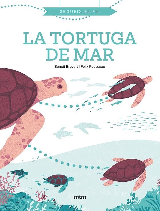 LA TORTUGA DE MAR | 9788417165574 | BROYART, BENOÎT