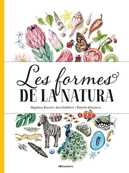 Les formes de la natura | 9788413560434 | Sedlackova, Jana/Sekaninova, Stepanka