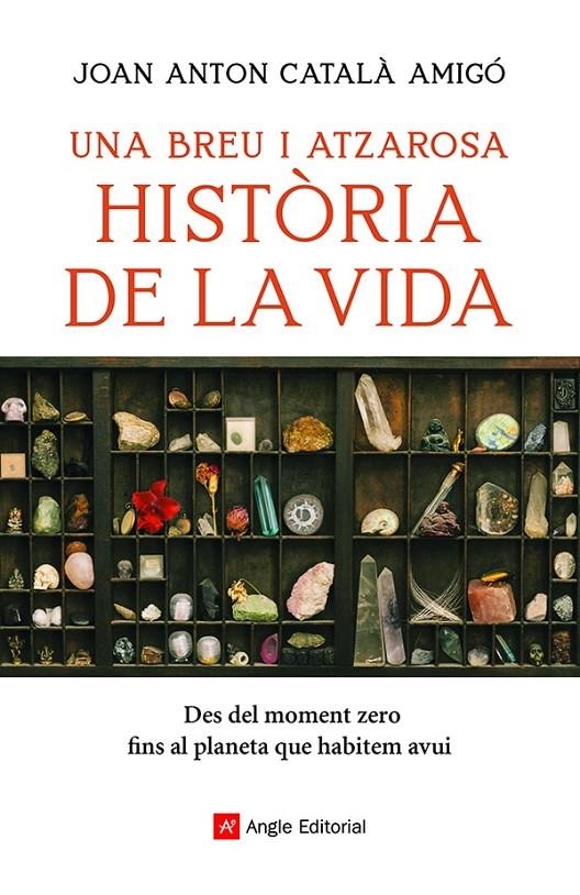 Una breu i atzarosa història de la vida | 9788418197956 | Català Amigó, Joan Anton