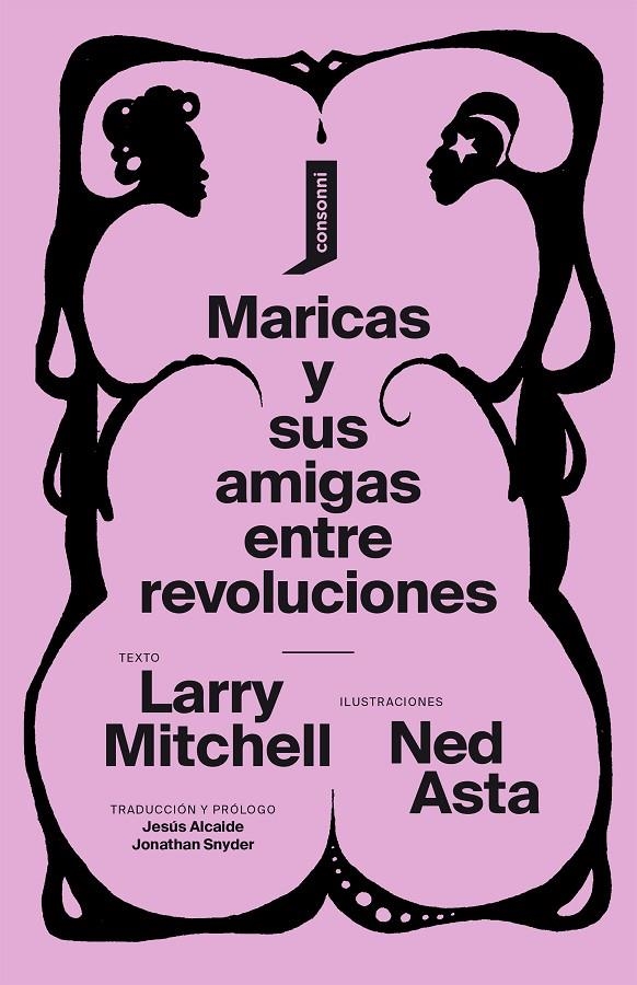 Maricas y sus amigas entre revoluciones | 9788416205769 | Mitchell, Larry