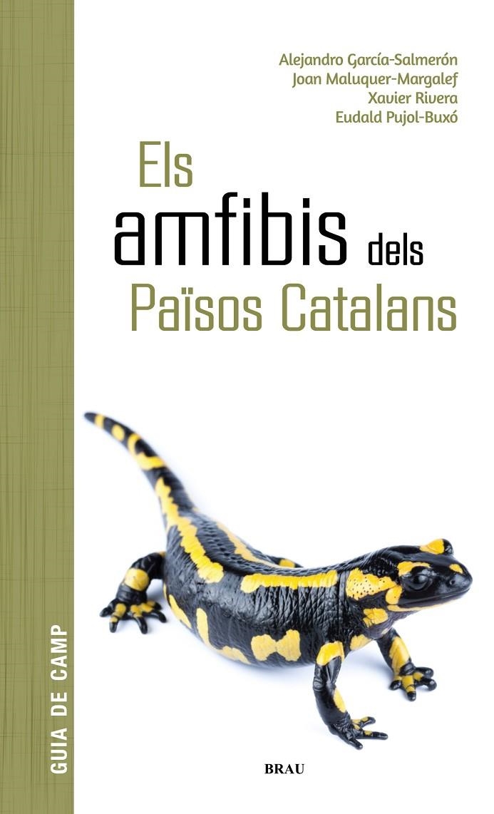 Els amfibis dels Països Catalans | 9788418096341 | García Salmerón, Alejandro/Maluquer Margalef, Joan/Rivera Mula, Xavier/Pujol Buxó, Eudald