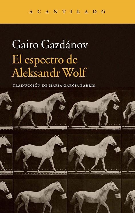 El espectro de Aleksandr Wolf | 9788416011414 | Gazdánov, Gaito/García Barris, María