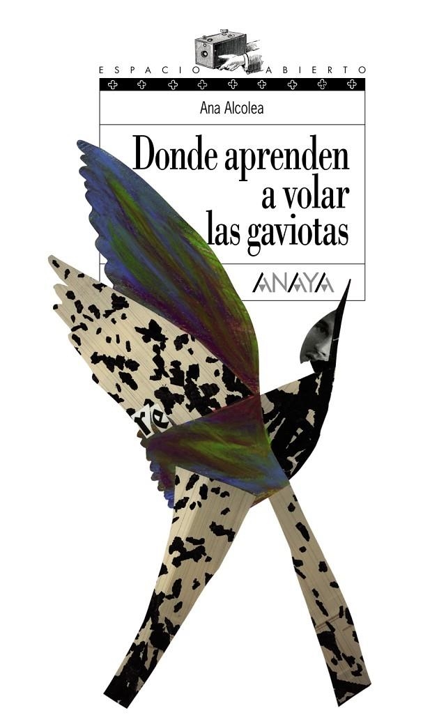 Donde aprenden a volar las gaviotas | 9788466762489 | Alcolea, Ana