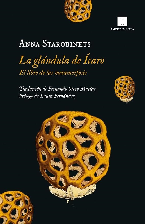 La glándula de Ícaro | 9788419581020 | Starobinets, Anna