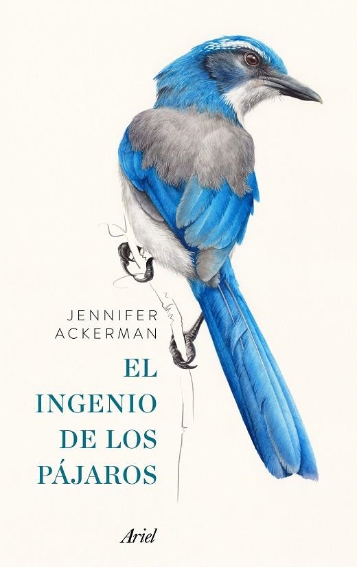 El ingenio de los pájaros | 9788434425262 | Ackerman, Jennifer