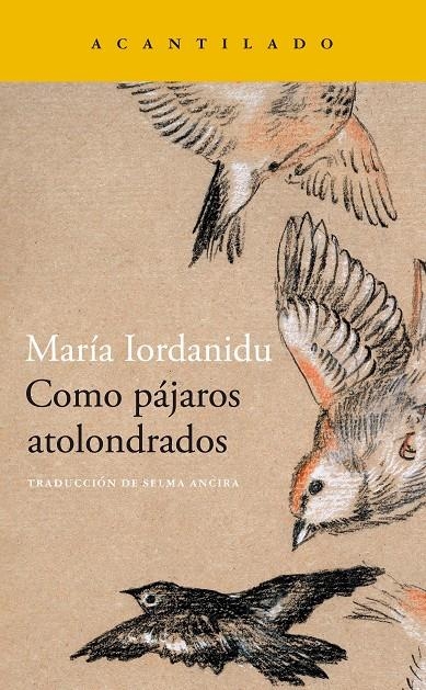 Como pájaros atolondrados | 9788419036704 | Iordanidu, Maria