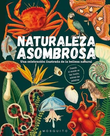 Naturaleza asombrosa | 9788419095589 | Mosquito Books