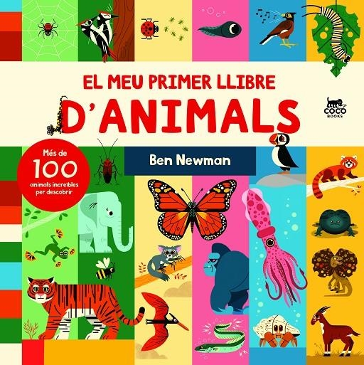 El meu primer llibre d’animals | 9788412557183 | Newman, Ben