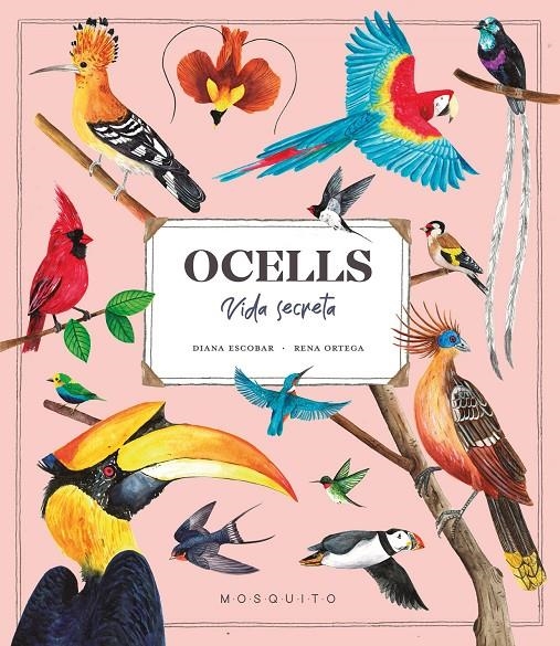 Ocells. Vida Secreta | 9788419095534 | Esteban, Diana