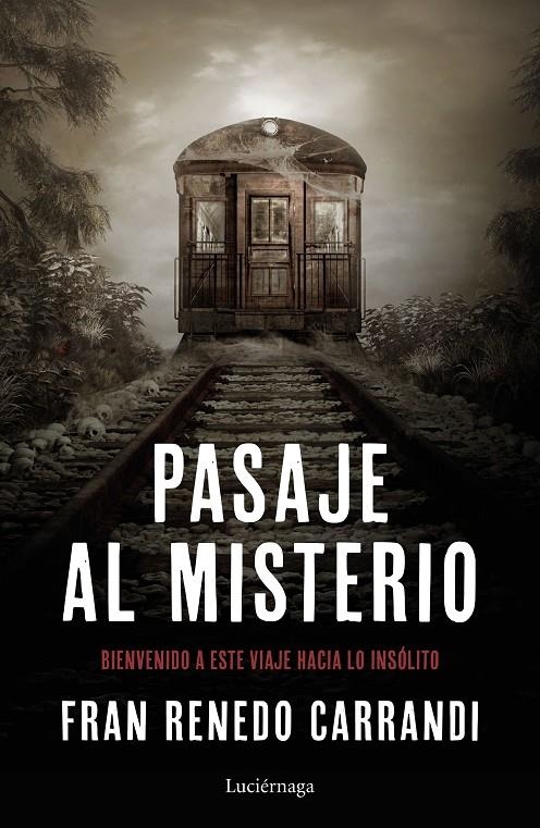 Pasaje al misterio | 9788417371241 | Renedo, Francisco