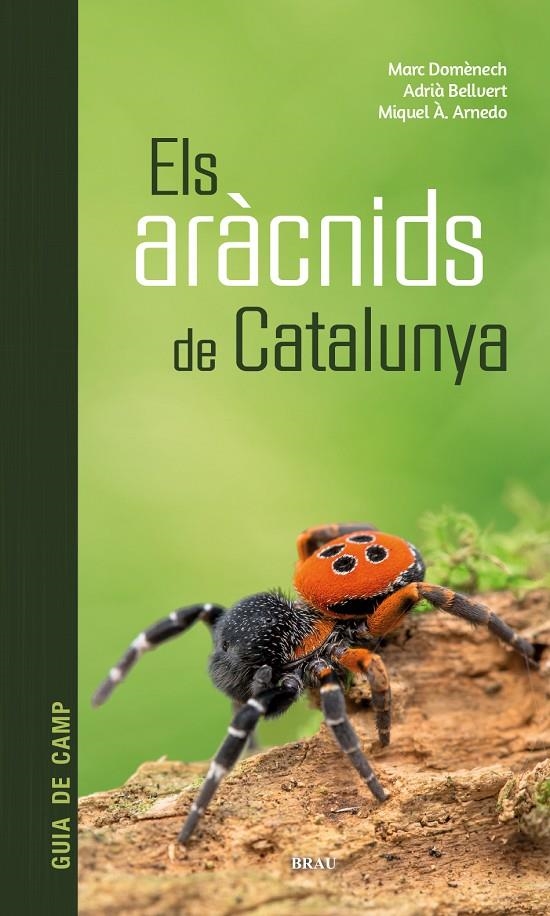 Els aràcnids de Catalunya | 9788418096686 | Domènech Andreu, Marc/Bellvert Bantí, Adrià/Arnedo Lombarte, Miquel Àngel