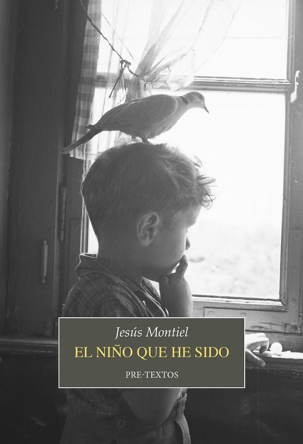 El niño que he sido | 9788419633835 | Montiel, Jesús