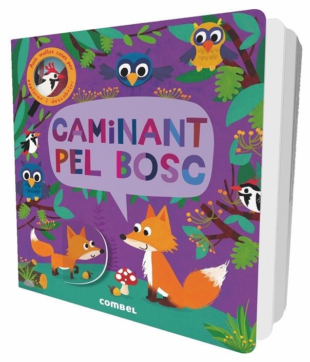 Caminant pel bosc | 9788491011453 | Litton, Jonathan