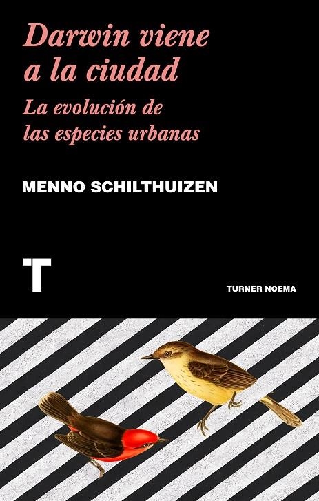 Darwin viene a la ciudad | 9788417141752 | Schilthuizen, Menno