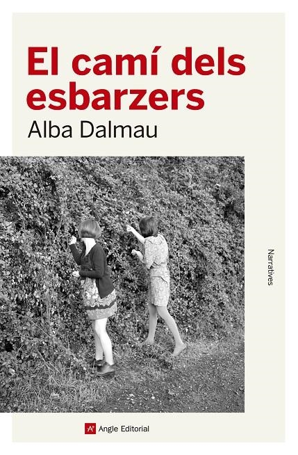 El camí dels esbarzers | 9788417214562 | Dalmau Viure, Alba